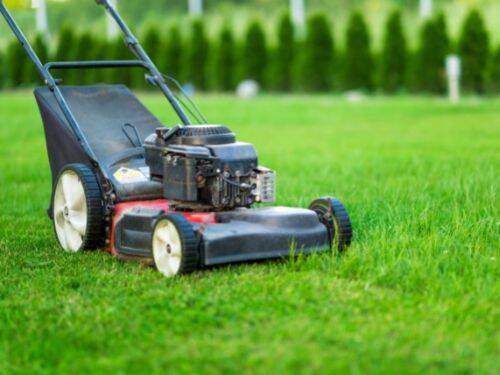Jak dbać o trawnik: Porady i wskazówki, jak utrzymać perfekcję ogrodu